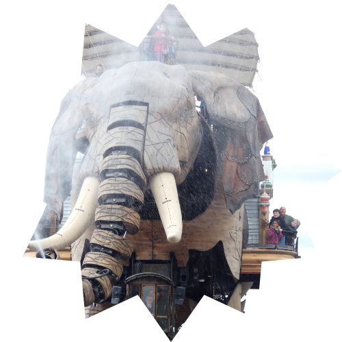 elephant