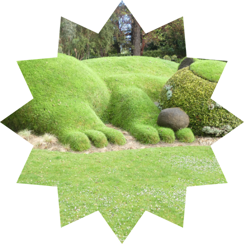 jardins-des-plantes