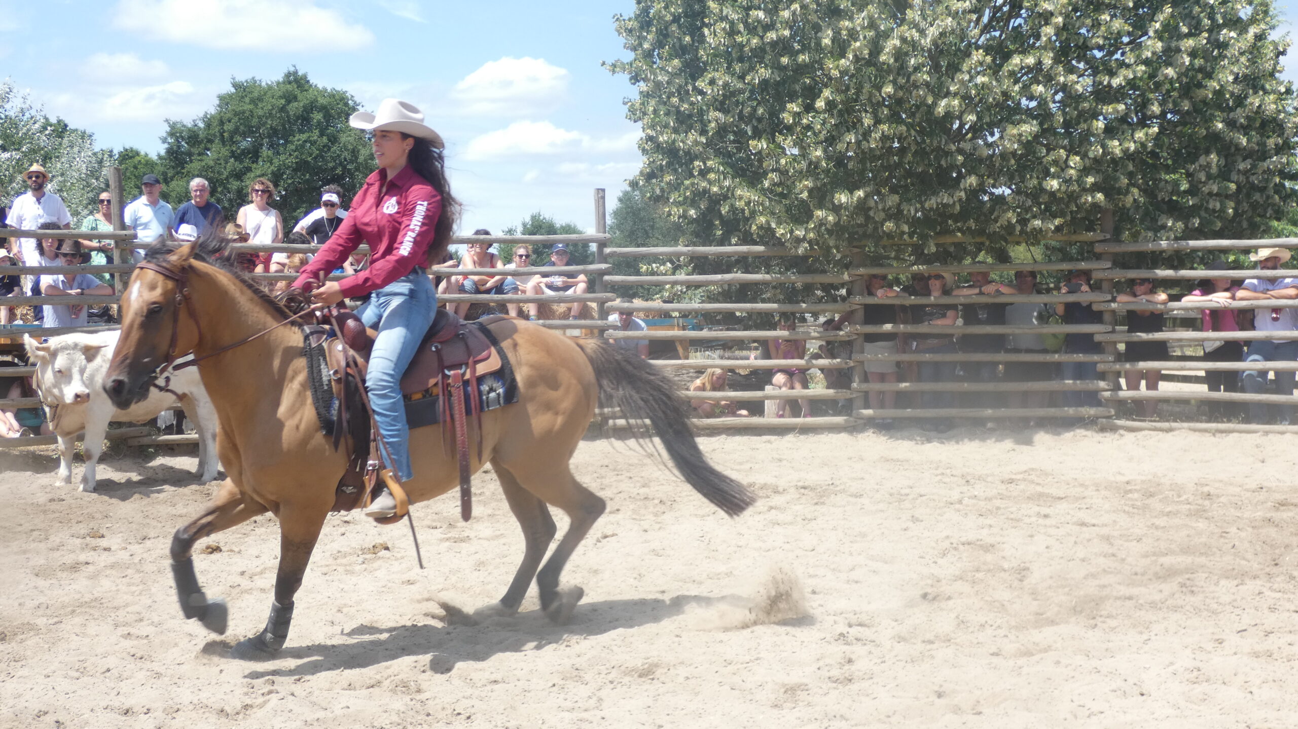 1 THOMAS RANCH